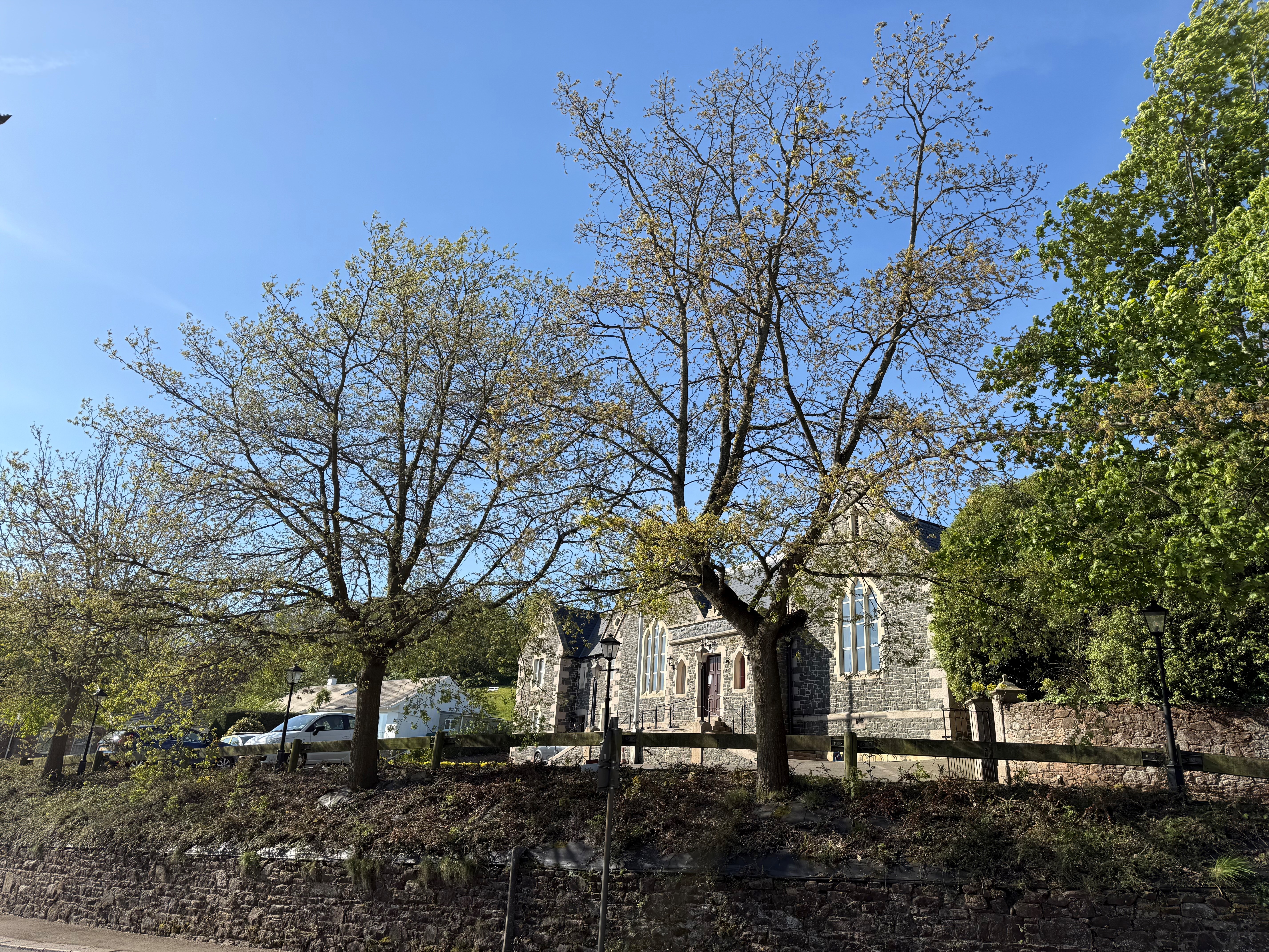 Grouville Parish Hall showing view from road with trees in foreground